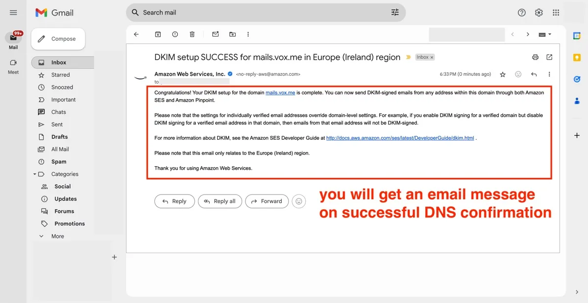 dns